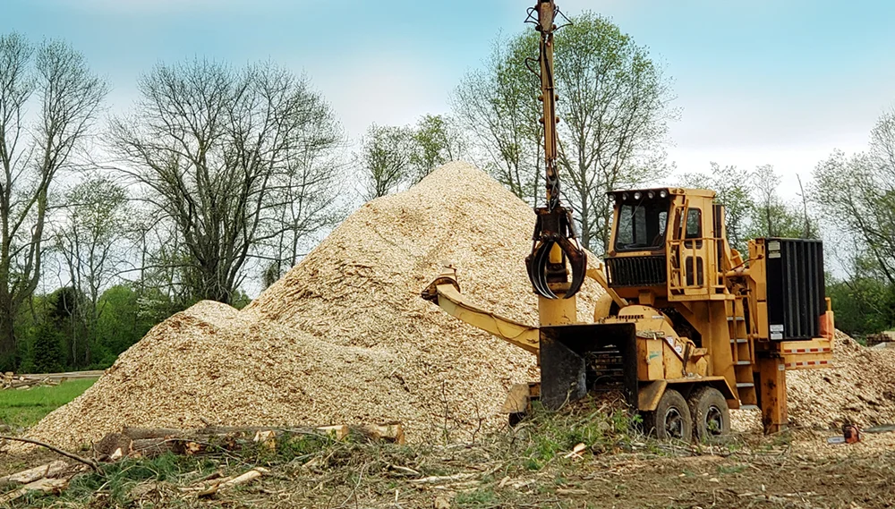 Clearing the Way: Essential Virginia Land Clearing Rules You Must Know