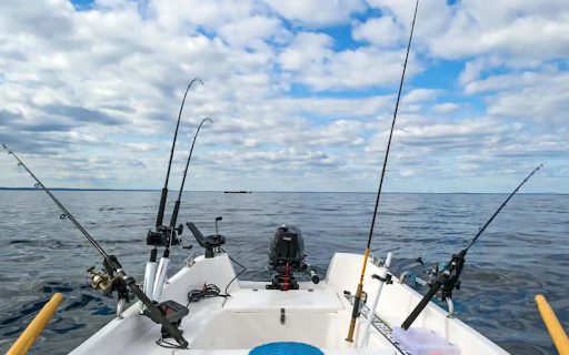 Why Fishing Trips Should Be on Your Adventure Bucket List