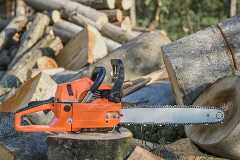Chainsaw Safety Tips Every Beginner Should Know