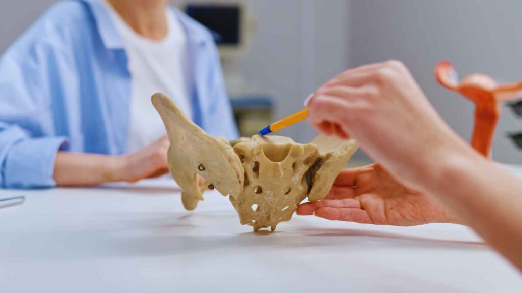 Strength, Stability, and Care: Understanding Modern Approaches to Pelvic Organ Prolapse Support
